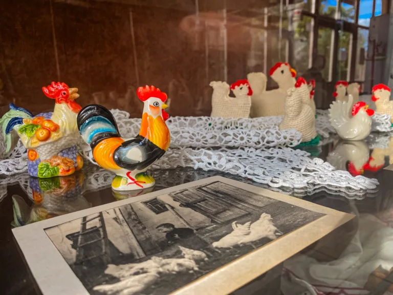 image-04-11-25-03-52-10