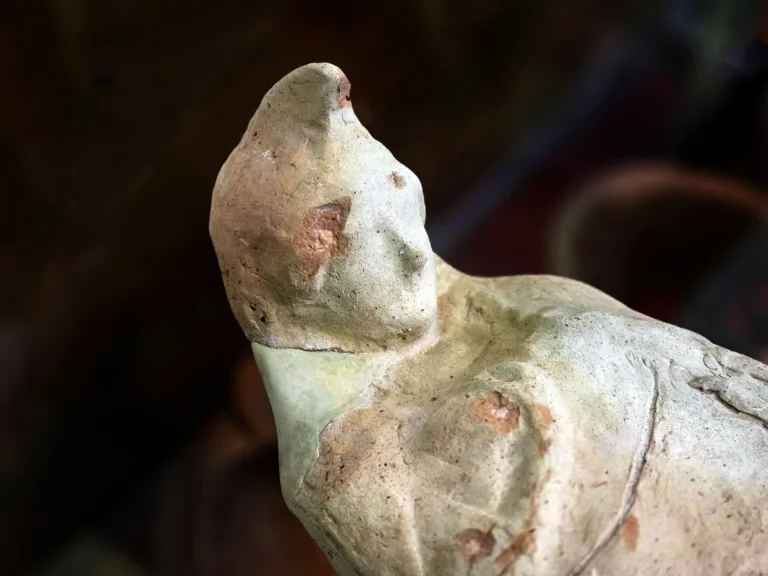 b_gfSsbm8Ly6CSPcyF96xHYDZs1fCw2RXk5qOFei22TDbCIKRdd6vpWF4nTPtVhBT41MXfyv8Ljr6aPrvrT6kueY